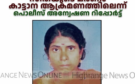 പീരുമേട്ടിലെ സീതയുടെ മരണം കാട്ടാന ആക്രമണത്തിലെന്ന് പൊലീസ് അന്വേഷണ റിപ്പോര്‍ട്ട്
