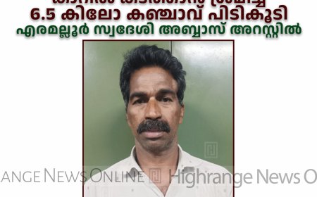 അടിമാലിയില്‍ കാറില്‍ കടത്താന്‍ ശ്രമിച്ച 6.5 കിലോ കഞ്ചാവ് പിടികൂടി: എരമല്ലൂര്‍ സ്വദേശി അബ്ബാസ് അറസ്റ്റില്‍