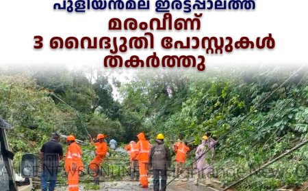 പുളിയന്‍മല ഇരട്ടപ്പാലത്ത് മരംവീണ് 3 വൈദ്യുതി പോസ്റ്റുകള്‍ തകര്‍ത്തു