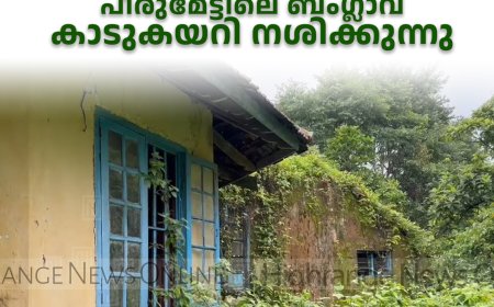 റവന്യു വകുപ്പിന്റെ അനാസ്ഥ: പീരുമേട്ടിലെ ബംഗ്ലാവ് കാടുകയറി നശിക്കുന്നു