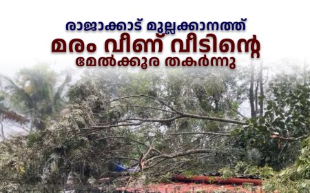 രാജാക്കാട് മുല്ലക്കാനത്ത് മരം വീണ് വീടിന്റെ മേല്‍ക്കൂര തകര്‍ന്നു