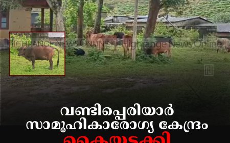 വണ്ടിപ്പെരിയാര്‍ സാമൂഹികാരോഗ്യ കേന്ദ്രം കൈയടക്കി കന്നുകാലികള്‍