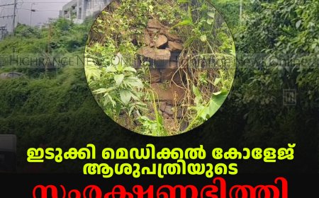 ഇടുക്കി മെഡിക്കല് കോളേജ് ആശുപത്രിയുടെ സംരക്ഷണഭിത്തി അപകടാവസ്ഥയില്