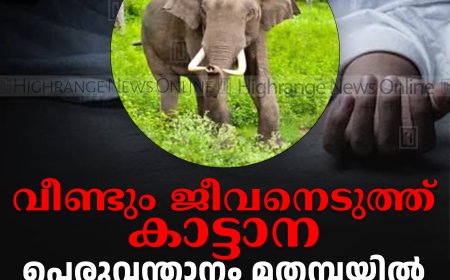 വീണ്ടും ജീവനെടുത്ത് കാട്ടാന: പെരുവന്താനം മതമ്പയില്‍ ടാപ്പിങ് തൊഴിലാളി കൊല്ലപ്പെട്ടു