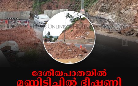 ദേശീയപാതയില്‍ മണ്ണിടിച്ചില്‍ ഭീഷണി: നേര്യമംഗലം- മൂന്നാര്‍ റൂട്ടില്‍ ഭീതിയോടെ വാഹനയാത്രികര്‍