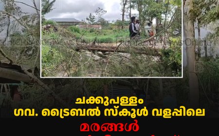ചക്കുപള്ളം ഗവ. ട്രൈബല്‍ സ്‌കൂള്‍ വളപ്പിലെ മരങ്ങള്‍ അയല്‍വീടുകള്‍ക്ക് ഭീഷണി 