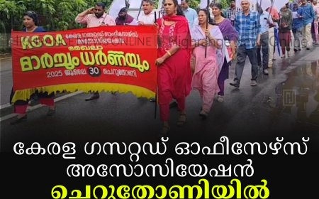 കേരള ഗസറ്റഡ് ഓഫീസേഴ്‌സ് അസോസിയേഷന്‍ ചെറുതോണിയില്‍ ധര്‍ണ നടത്തി 