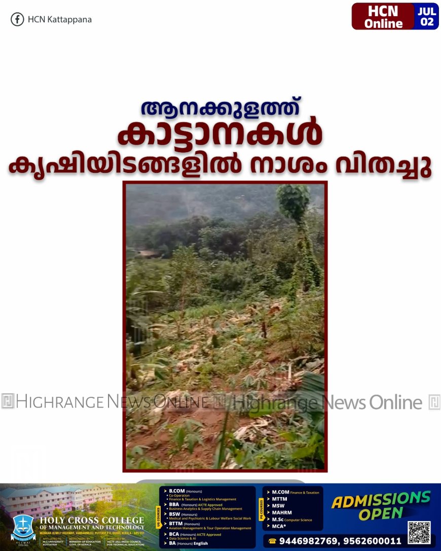 ആനക്കുളത്ത് കാട്ടാനകള് കൃഷിയിടങ്ങളില് നാശം വിതച്ചു