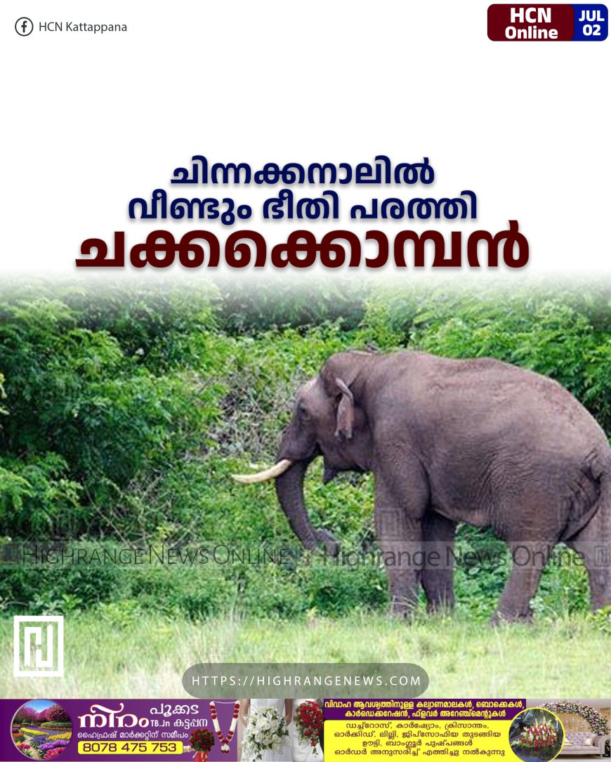 ചിന്നക്കനാലില് വീണ്ടും ഭീതി പരത്തി ചക്കക്കൊമ്പന്