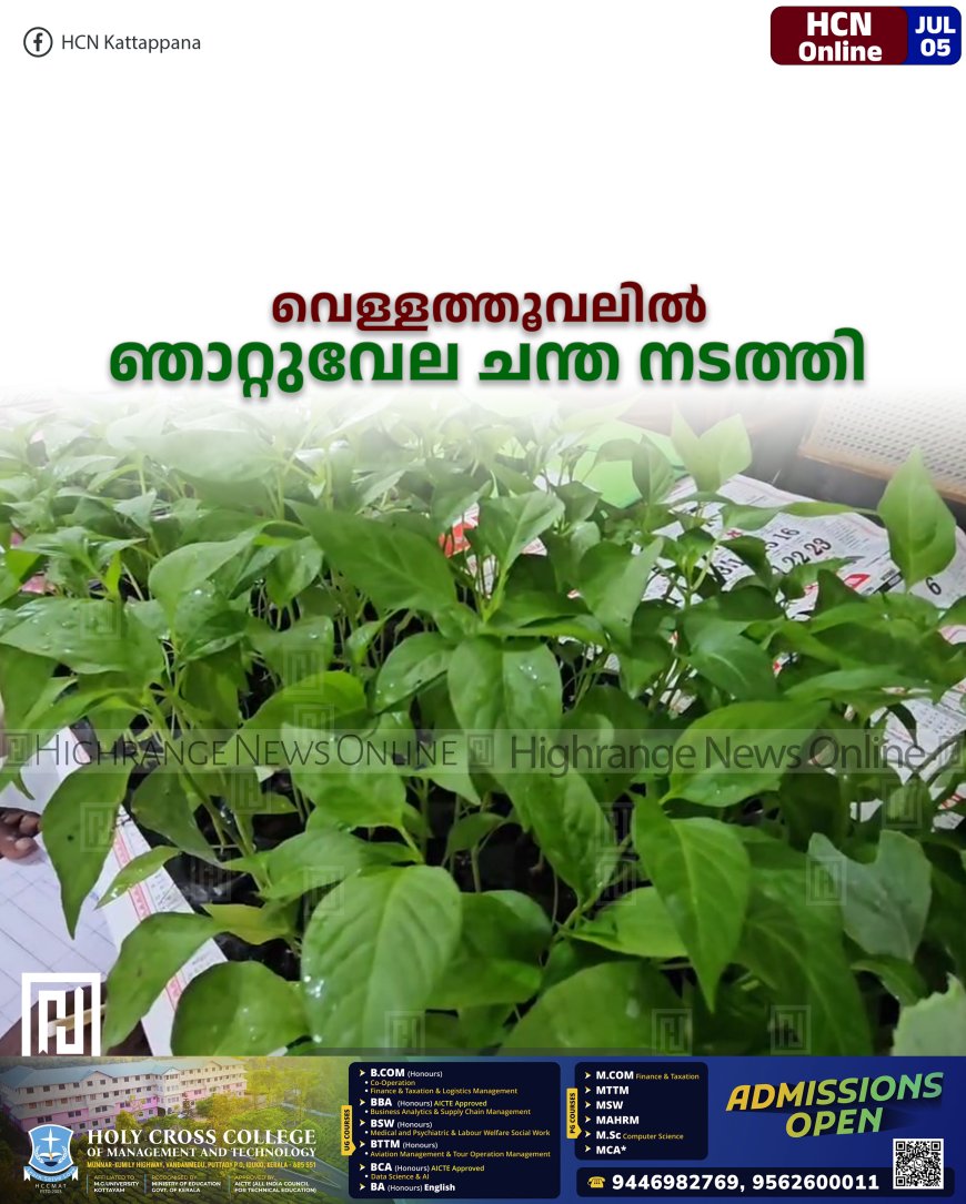 വെള്ളത്തൂവലില്‍ ഞാറ്റുവേല ചന്ത നടത്തി 