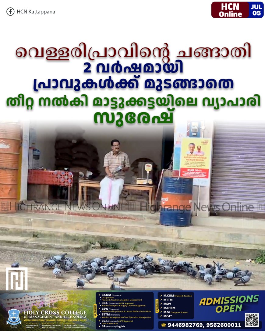 വെള്ളരിപ്രാവിന്റെ ചങ്ങാതി: 2 വര്‍ഷമായി പ്രാവുകള്‍ക്ക് മുടങ്ങാതെ തീറ്റ നല്‍കി മാട്ടുക്കട്ടയിലെ വ്യാപാരി സുരേഷ് 