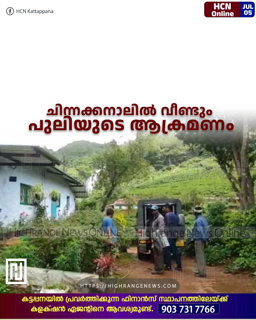 ചിന്നക്കനാലില്‍ വീണ്ടും പുലിയുടെ ആക്രമണം 