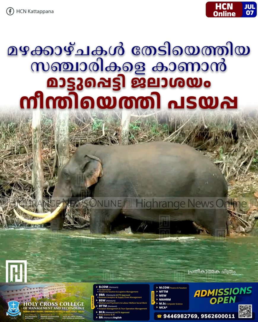മഴക്കാഴ്ചകള് തേടിയെത്തിയ സഞ്ചാരികളെ കാണാന് മാട്ടുപ്പെട്ടി ജലാശയം നീന്തിയെത്തി പടയപ്പ