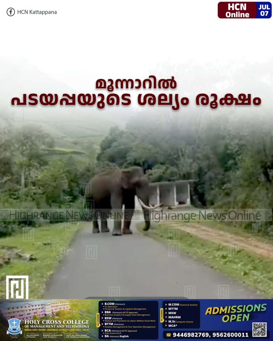മൂന്നാറില്‍ പടയപ്പയുടെ ശല്യം രൂക്ഷം
