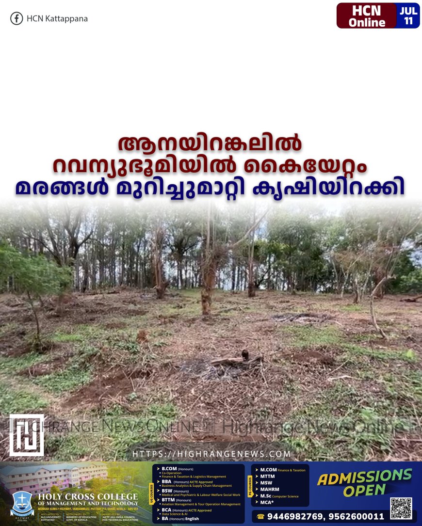 ആനയിറങ്കലില്‍ റവന്യുഭൂമിയില്‍ കൈയേറ്റം: മരങ്ങള്‍ മുറിച്ചുമാറ്റി കൃഷിയിറക്കി