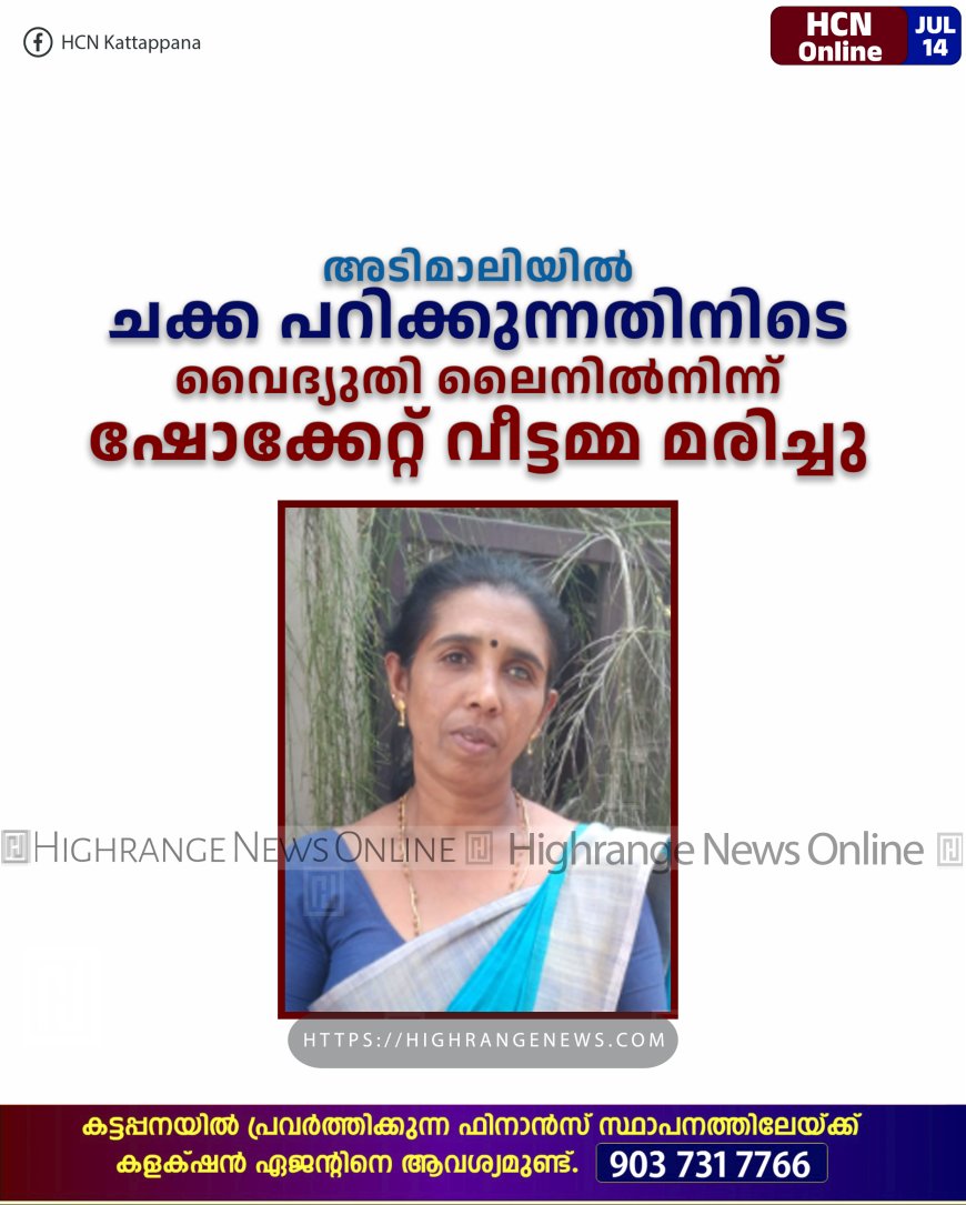 അടിമാലിയില് ചക്ക പറിക്കുന്നതിനിടെ വൈദ്യുതി ലൈനില്നിന്ന് ഷോക്കേറ്റ് വീട്ടമ്മ മരിച്ചു
