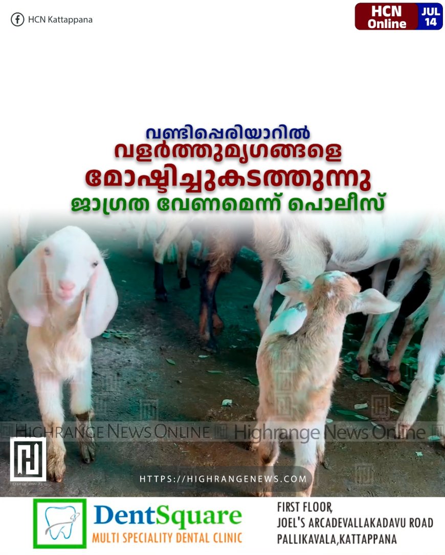 വണ്ടിപ്പെരിയാറില് വളര്ത്തുമൃഗങ്ങളെ മോഷ്ടിച്ചുകടത്തുന്നു: ജാഗ്രത വേണമെന്ന് പൊലീസ്