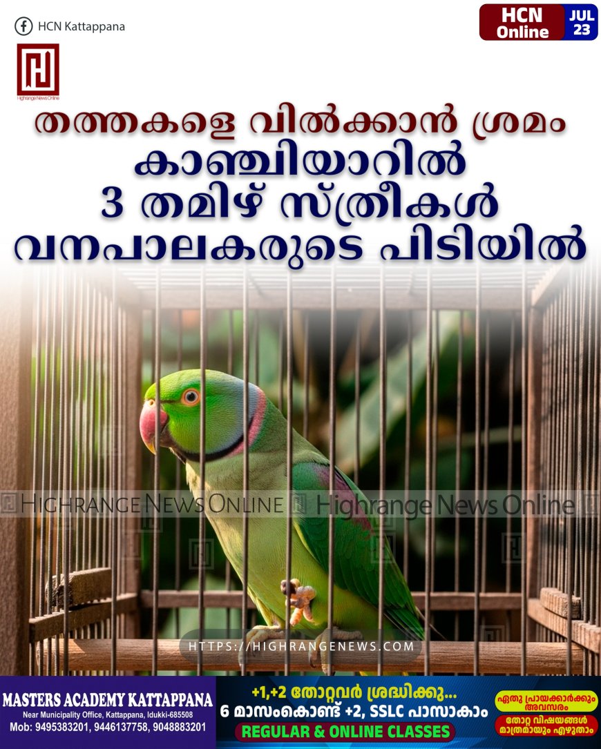 തത്തകളെ വില്ക്കാന് ശ്രമം: കാഞ്ചിയാറില് 3 തമിഴ് സ്ത്രീകള് വനപാലകരുടെ പിടിയില്