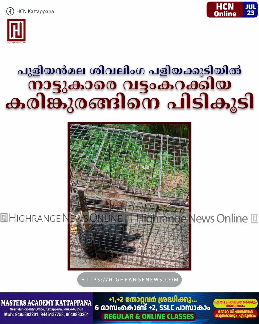 പുളിയന്‍മല ശിവലിംഗ പളിയക്കുടിയില്‍ നാട്ടുകാരെ വട്ടംകറക്കിയ കരിങ്കുരങ്ങിനെ പിടികൂടി