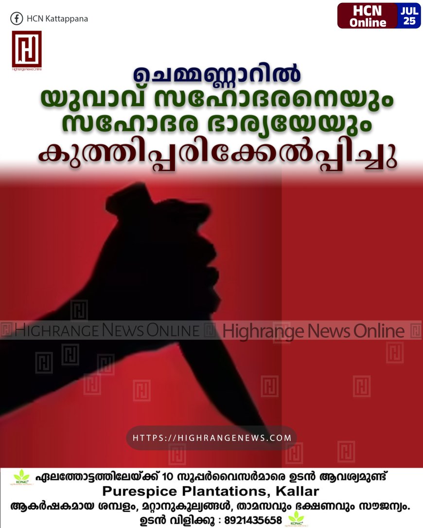 ചെമ്മണ്ണാറില് യുവാവ് സഹോദരനെയും സഹോദര ഭാര്യയേയും കുത്തിപ്പരിക്കേല്പ്പിച്ചു