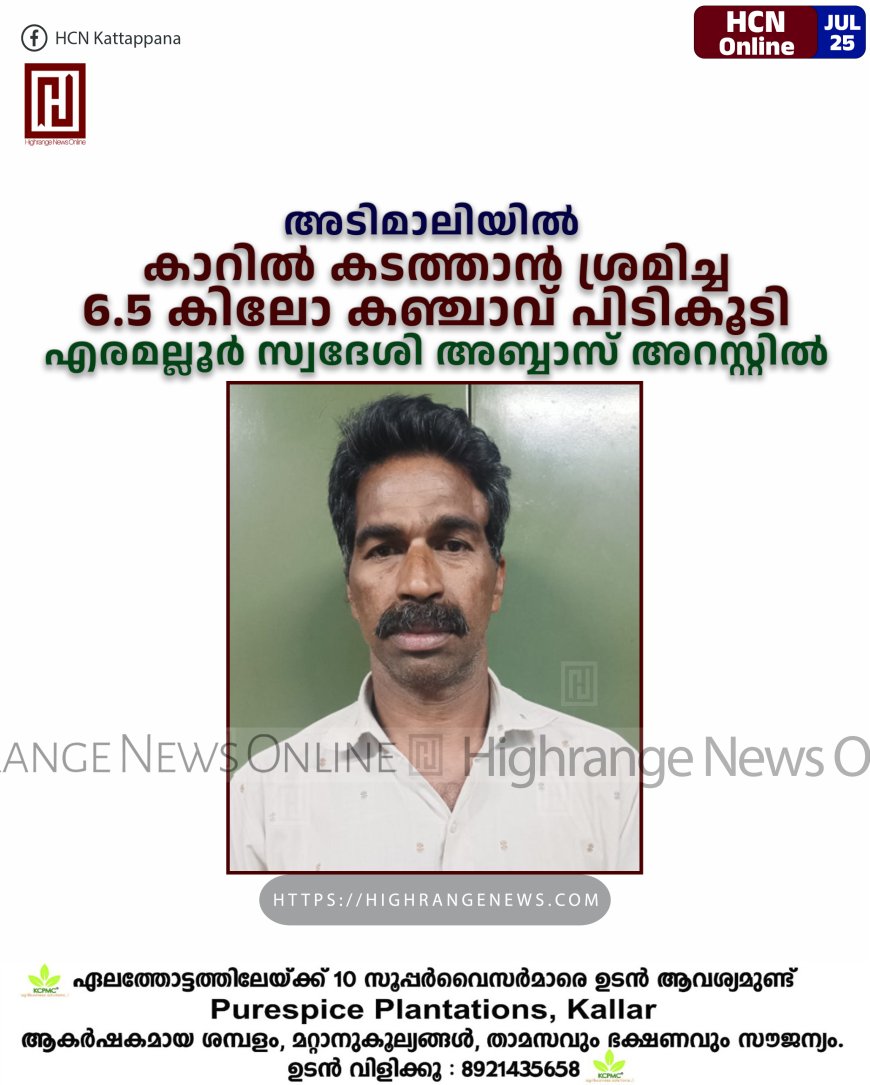 അടിമാലിയില് കാറില് കടത്താന് ശ്രമിച്ച 6.5 കിലോ കഞ്ചാവ് പിടികൂടി: എരമല്ലൂര് സ്വദേശി അബ്ബാസ് അറസ്റ്റില്