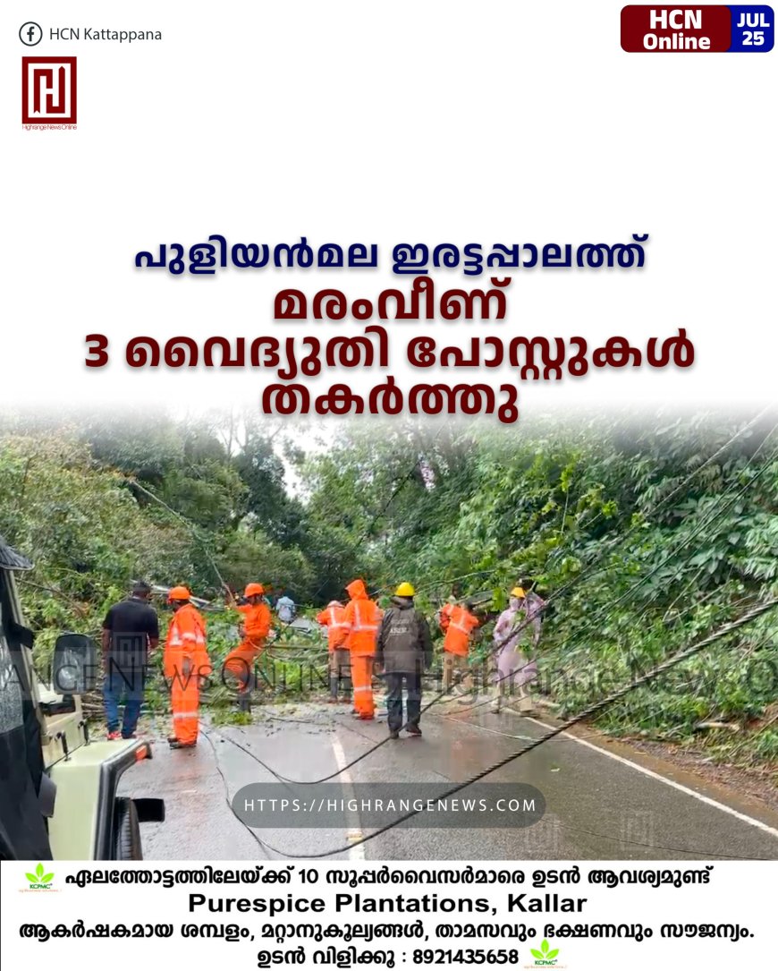 പുളിയന്മല ഇരട്ടപ്പാലത്ത് മരംവീണ് 3 വൈദ്യുതി പോസ്റ്റുകള് തകര്ത്തു