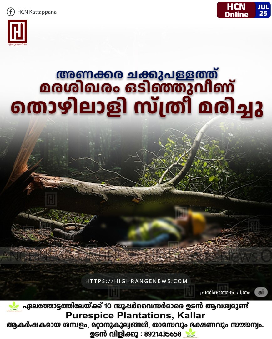 അണക്കര ചക്കുപള്ളത്ത് മരശിഖരം ഒടിഞ്ഞുവീണ് തൊഴിലാളി സ്ത്രീ മരിച്ചു