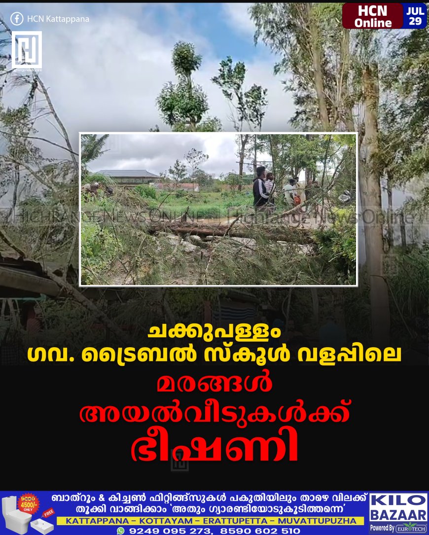 ചക്കുപള്ളം ഗവ. ട്രൈബല് സ്കൂള് വളപ്പിലെ മരങ്ങള് അയല്വീടുകള്ക്ക് ഭീഷണി