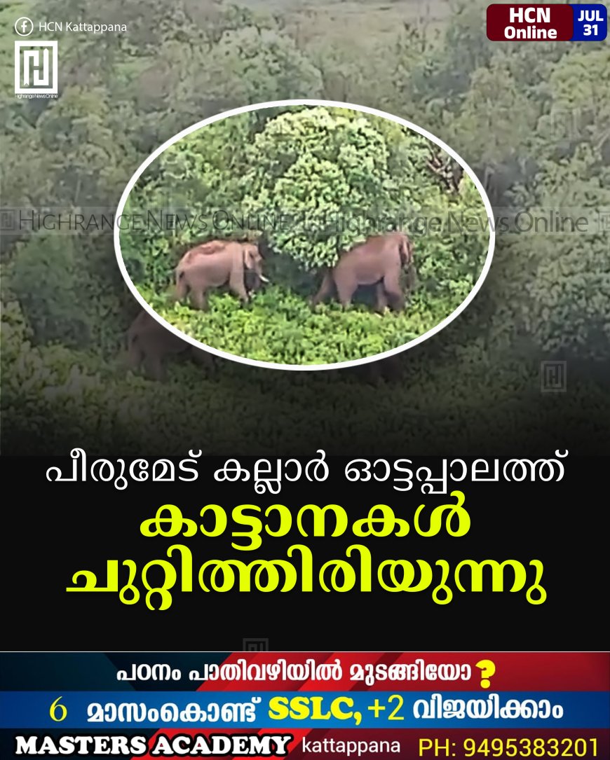 പീരുമേട് കല്ലാര് ഓട്ടപ്പാലത്ത് കാട്ടാനകള് ചുറ്റിത്തിരിയുന്നു
