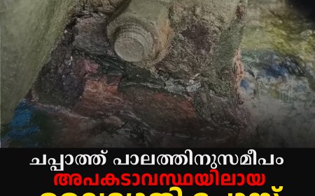 ചപ്പാത്ത് പാലത്തിനുസമീപം അപകടാവസ്ഥയിലായ വൈദ്യുതി പോസ്റ്റ് മാറ്റാന്‍ നടപടിയില്ല 