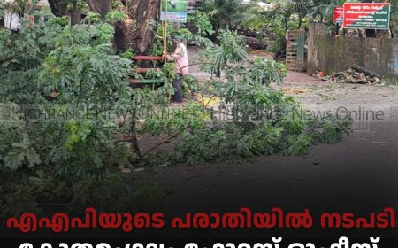 എഎപിയുടെ പരാതിയില്‍ നടപടി: കോതമംഗലം ഫോറസ്റ്റ് ഓഫീസ് പരിസരത്തെ മരശിഖരങ്ങള്‍ മുറിച്ച് നീക്കിത്തുടങ്ങി