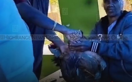 കിഴുകാനം സെക്ഷന്‍ ഫോറസ്റ്റ് ഓഫീസില്‍ ഇഡിസി അംഗങ്ങള്‍ക്ക് മുട്ടക്കോഴികള്‍ വിതരണം ചെയ്തു