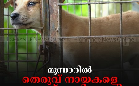 മൂന്നാറില്‍ തെരുവ് നായകളെ കൊന്ന് കുഴിച്ചുമൂടി: കേസെടുത്ത് പൊലീസ് 
