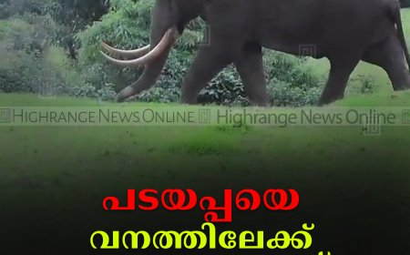 പടയപ്പയെ വനത്തിലേക്ക് തുരത്തണമെന്ന് നാട്ടുകാര്‍ 