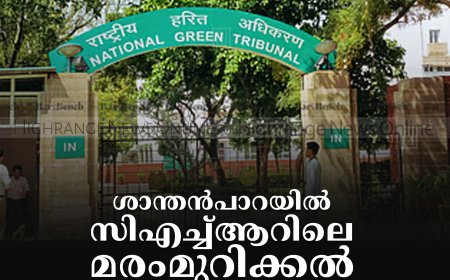 ശാന്തന്‍പാറയില്‍ സിഎച്ച്ആറിലെ മരംമുറിക്കല്‍: ദേശീയ ഹരിത ട്രിബ്യൂണല്‍ കേസെടുത്തു