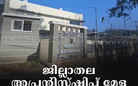 ജില്ലാതല അപ്രന്റിസ്ഷിപ്പ് മേള 11ന് കട്ടപ്പന ഗവ. ഐടിഐയില്‍