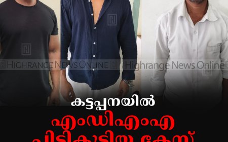 കട്ടപ്പനയില്‍ എംഡിഎംഎ പിടികൂടിയ കേസ്: 3 പേര്‍ കൂടി അറസ്റ്റില്‍