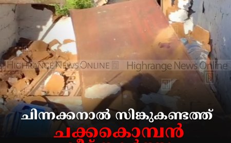 ചിന്നക്കനാല്‍ സിങ്കുകണ്ടത്ത് ചക്കകൊമ്പന്‍ വീട് തകര്‍ത്തു
