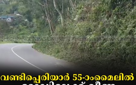 വണ്ടിപ്പെരിയാര് 55-ാംമൈലില് റോഡിലേക്ക് വീണ മരശിഖരങ്ങള് മുറിച്ചുമാറ്റി