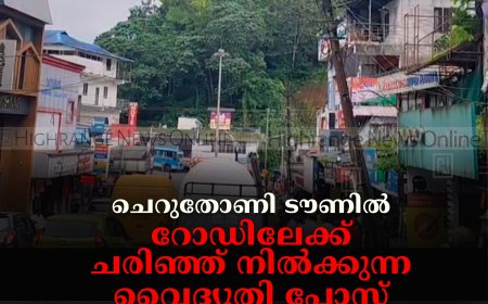 ചെറുതോണി ടൗണില്‍ റോഡിലേക്ക് ചരിഞ്ഞ് നില്‍ക്കുന്ന വൈദ്യുതി പോസ്റ്റ് മാറ്റി സ്ഥാപിക്കാന്‍ നടപടിയില്ല: പ്രതിഷേധവുമായി നാട്ടുകാര്‍ 