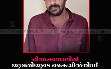 ചിന്നക്കനാലില്‍ യുവതിയുടെ കൈയില്‍നിന്ന് പഴ്‌സ് തട്ടിയെടുത്ത് രക്ഷപ്പെട്ട എറണാകുളം സ്വദേശി അറസ്റ്റില്‍