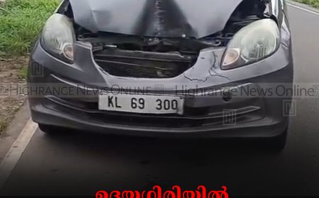 ഉദയഗിരിയില്‍ ഓട്ടോറിക്ഷയില്‍ കാര്‍ ഇടിച്ച്  വീട്ടമ്മയ്ക്ക്  പരിക്ക്