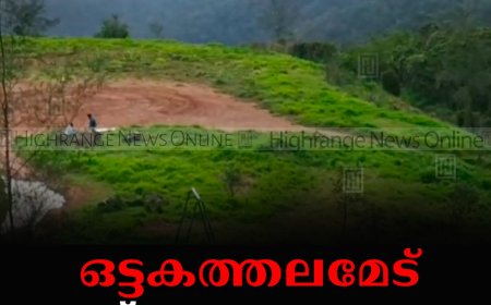 ഒട്ടകത്തലമേട്: കാഴ്ചകളുടെ കലവറ: സഞ്ചാരികളുടെ ഇഷ്ടയിടം