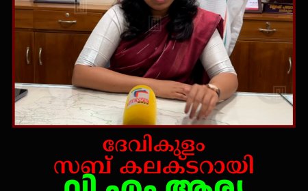 ദേവികുളം സബ് കലക്ടറായി വി എം ആര്യ ചുമതലയേറ്റു 