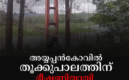 അയ്യപ്പന്‍കോവില്‍ തൂക്കുപാലത്തിന് ഭീഷണിയായി കാറ്റാടി മരങ്ങള്‍