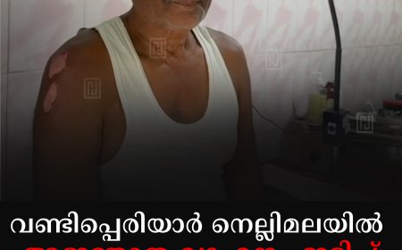 വണ്ടിപ്പെരിയാര്‍ നെല്ലിമലയില്‍ അജ്ഞാത വാഹനം ഇടിച്ച് വയോധികന് പരിക്ക് 