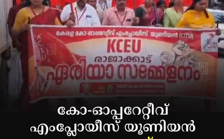 കോ-ഓപ്പറേറ്റീവ് എംപ്ലോയീസ് യൂണിയന് രാജാക്കാട് ഏരിയാ സമ്മേളനം നടത്തി