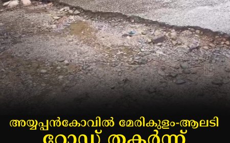 അയ്യപ്പന്‍കോവില്‍ മേരികുളം-ആലടി റോഡ് തകര്‍ന്ന് യാത്ര ദുരിതത്തില്‍