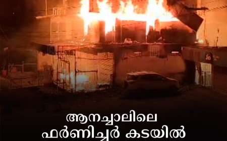   ആനച്ചാലിലെ ഫര്‍ണിച്ചര്‍ കടയില്‍ തീ പിടിത്തം 