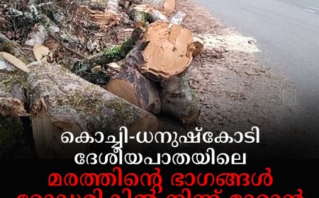 കൊച്ചി-ധനുഷ്കോടി ദേശീയപാതയിലെ മരത്തിന്റെ ഭാഗങ്ങള് റോഡരികില് നിന്ന് മാറ്റാന് നടപടിയില്ല